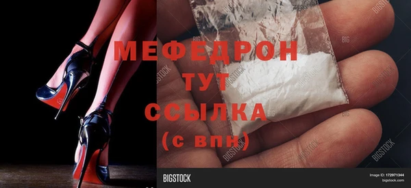 МДПВ Каменка