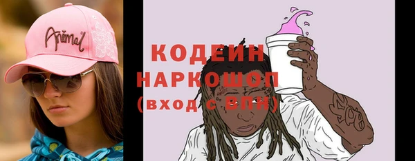 МДПВ Каменка