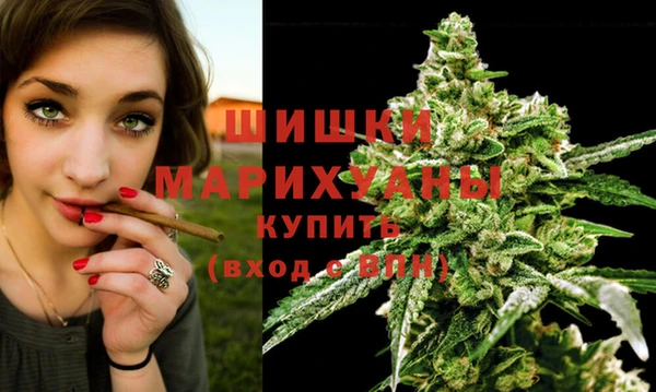 Альфа ПВП Каменск-Шахтинский