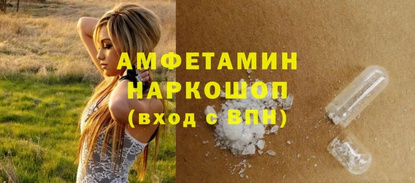 МДПВ Каменка