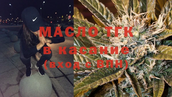МДПВ Каменка