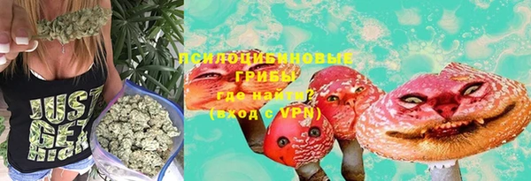 каннабис Каменногорск