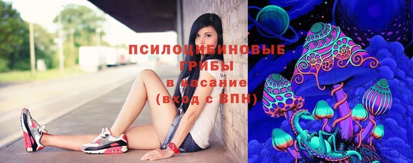 МДПВ Каменка