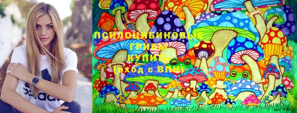 МДПВ Каменка