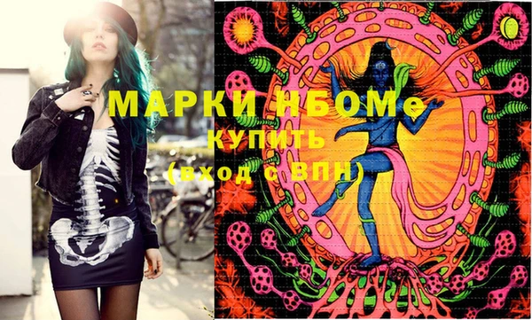 МДПВ Каменка