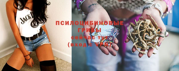 каннабис Каменногорск