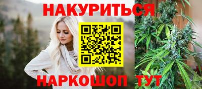 гидра Заводоуковск
