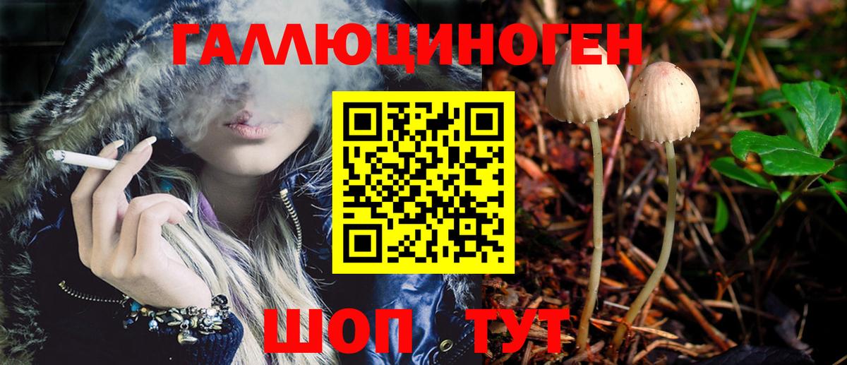 Псилоцибиновые грибы прущие грибы Шебекино