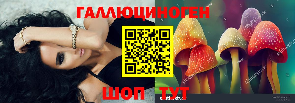 Псилоцибиновые грибы мухоморы  Шебекино 