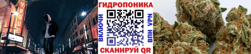 Купить закладки  Шебекино  Марихуана Amnesia 